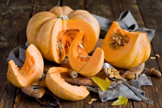 Cultures fourrag&egrave;res de plantes