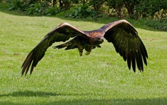 Natureza da Rep&uacute;blica Komi