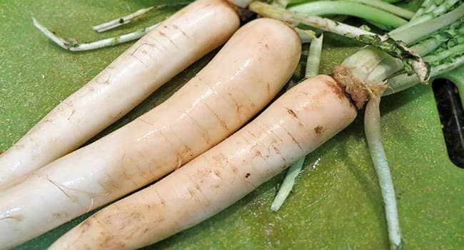 Daikon benefit harm composition and calorie content