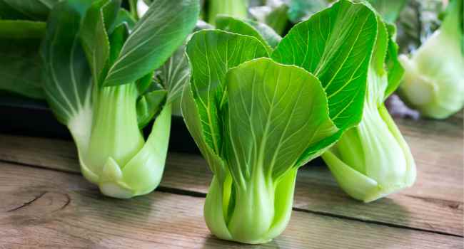 Avantages et inconv&eacute;nients du chou chinois pak choi