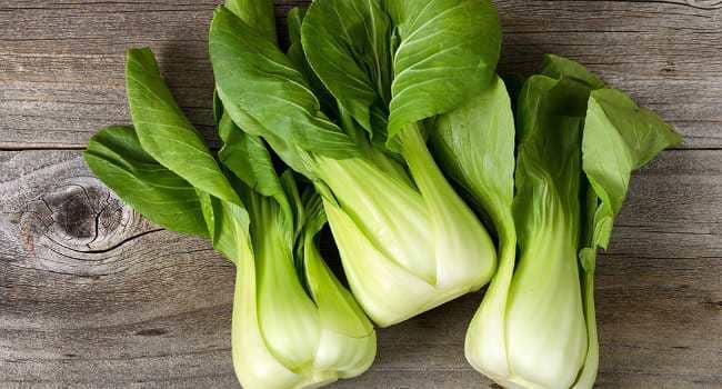 Avantages et inconv&eacute;nients du chou chinois pak choi