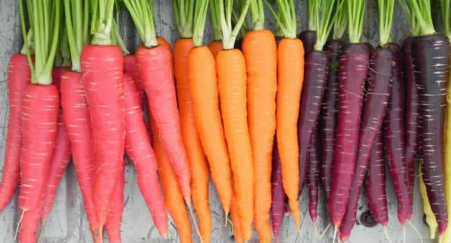 Carrots benefit harm composition calorie content