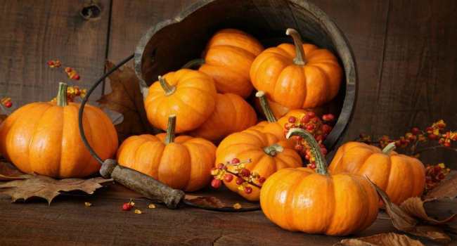 Butternut squash beneficia e prejudica