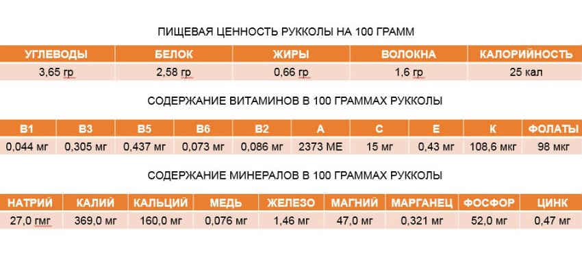 Avantages et inconvénients de la roquette, composition et propriétés