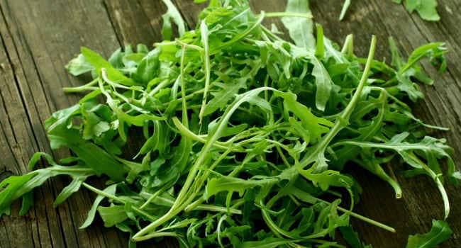 Avantages et inconvénients de la roquette, composition et propriétés