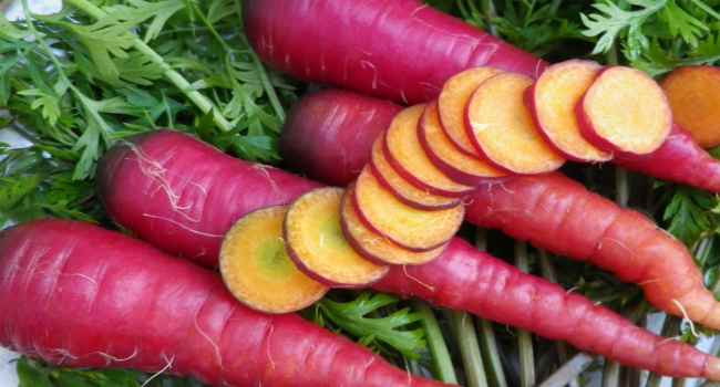 Cenouras roxas o que &eacute;? Como &eacute; &uacute;til?