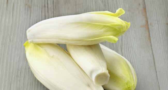 Endive – avantages et inconv&eacute;nients de la salade de chicor&eacute;e comment choisir et conserver