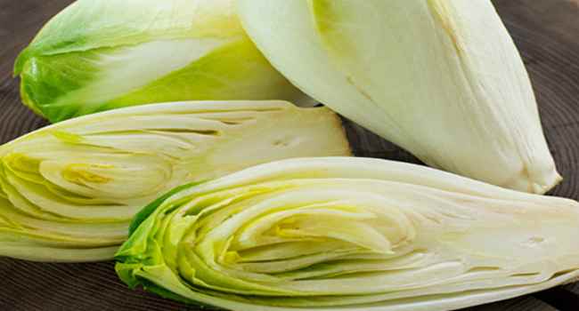 Endive – avantages et inconv&eacute;nients de la salade de chicor&eacute;e comment choisir et conserver