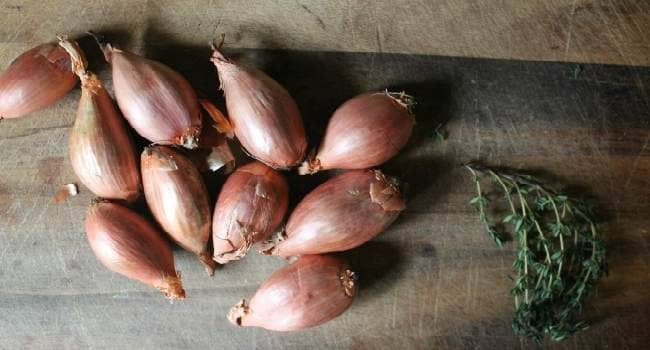 Shallots the benefits and harms of what it looks like