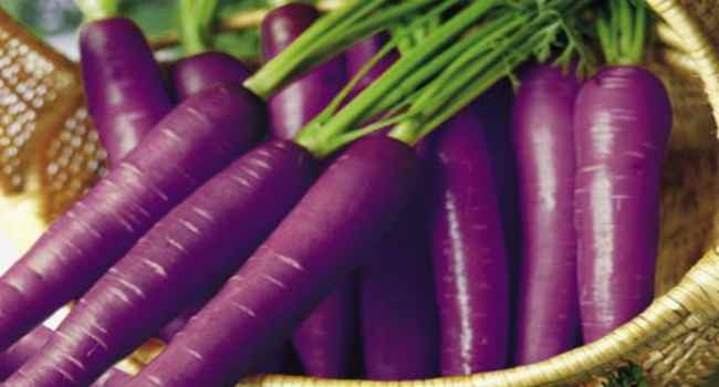 zanahorias moradas: propiedades útiles